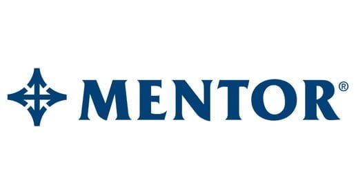 mentor-2